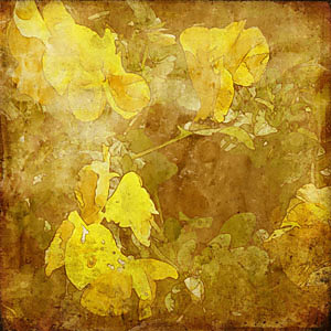 Žlté Fototapety - Yellow texture 6003